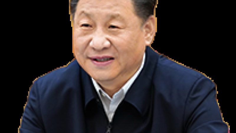 进口白色母粒：国内批发价背后的考量因素